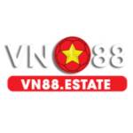 VN88 Profile Picture