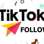 likeeduvn TikTok Profile Picture