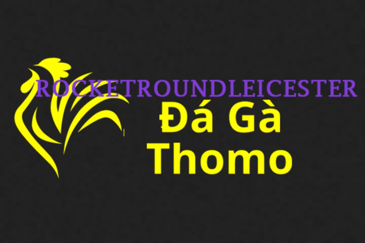 Đá Gà Trực Tiếp Thomo Cover Image