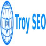 Troy SEO Profile Picture