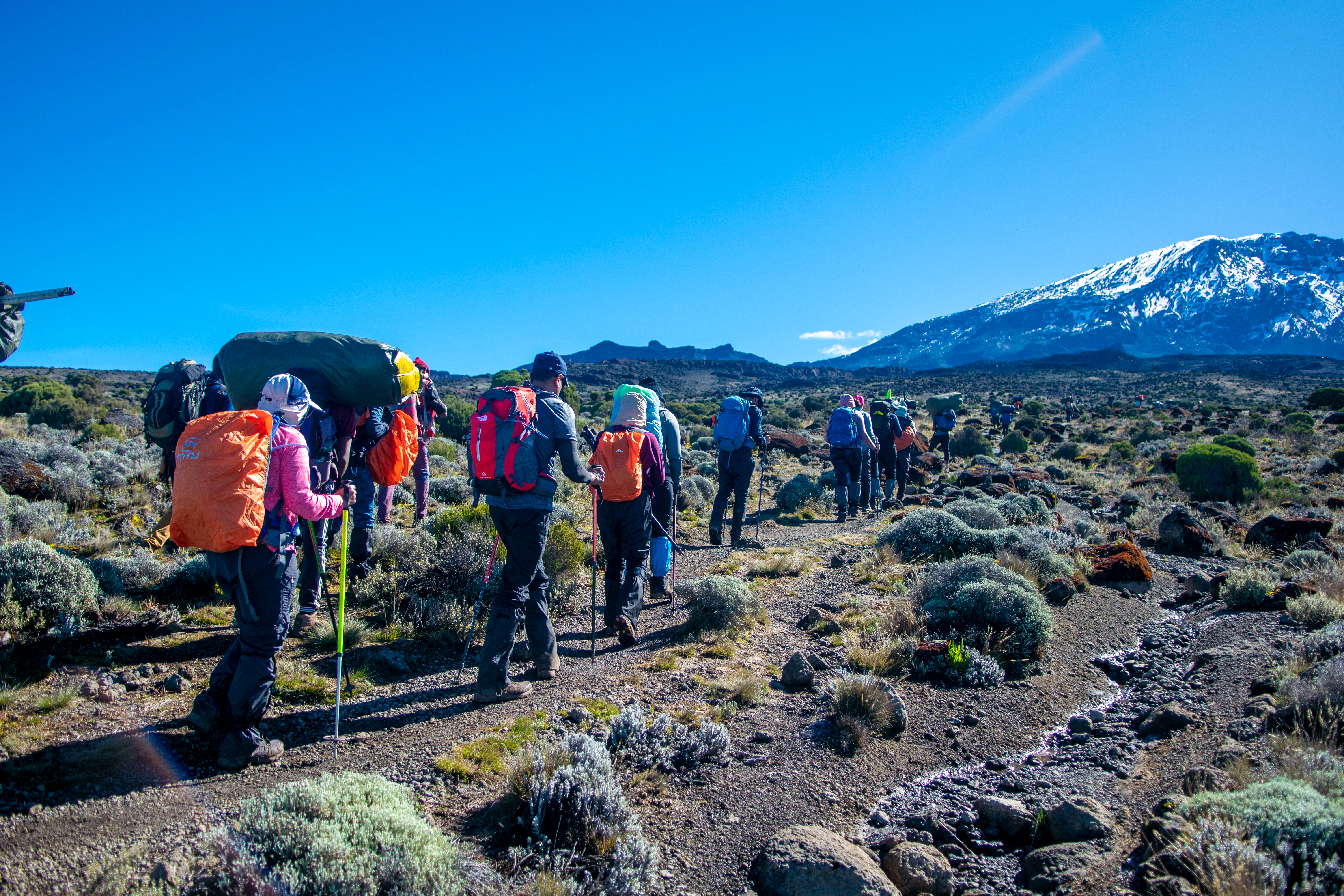 Kilimanjaro Joining Group Departures