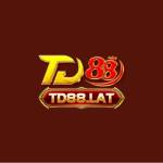 TD88 Profile Picture