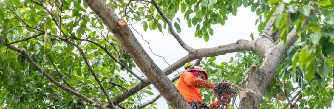 BC Tree Service Cover Image
