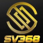 sv368sarl profile picture