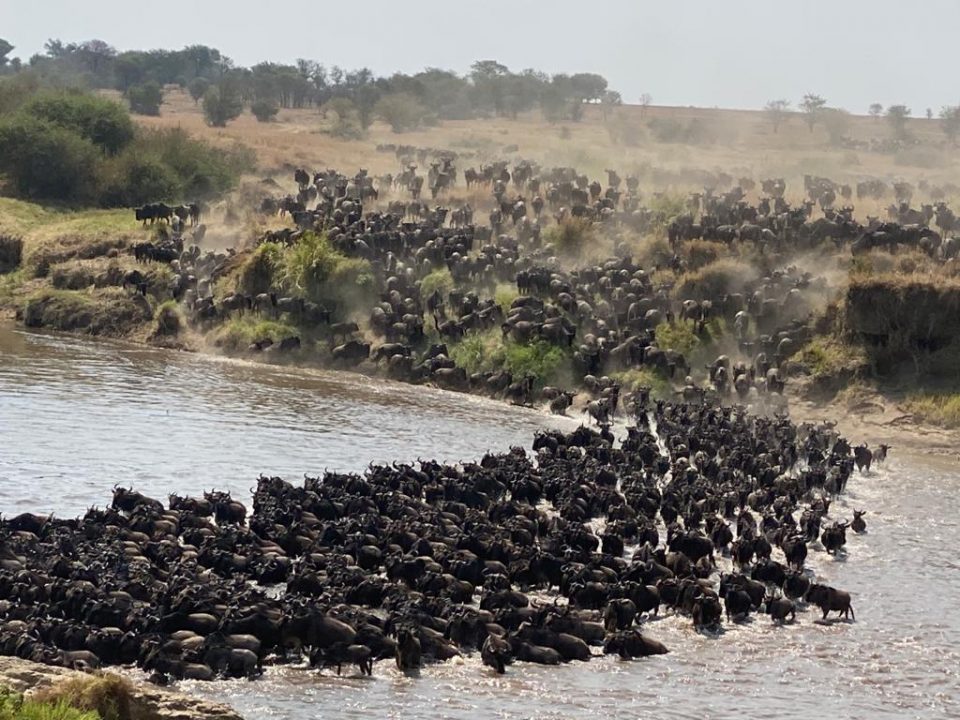 8 Days Midrange Great Migration Safari