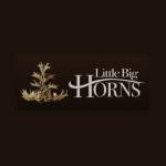 Little Big Horns Profile Picture