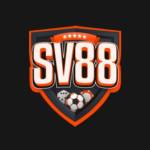 SV88 broker Profile Picture