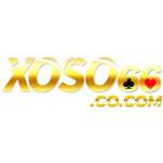 Xoso66 Nhà Cái Profile Picture