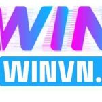 WINVN Cổng game Profile Picture