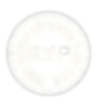 ViSona LLC Helps Beauty Brands Bring Their Vision to Life