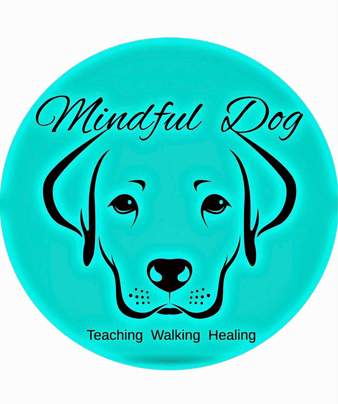 Professional Dog Training Services in Wirral & North Wales