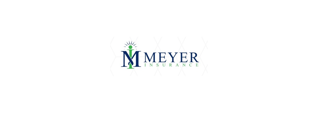 William W Meyer Cover Image