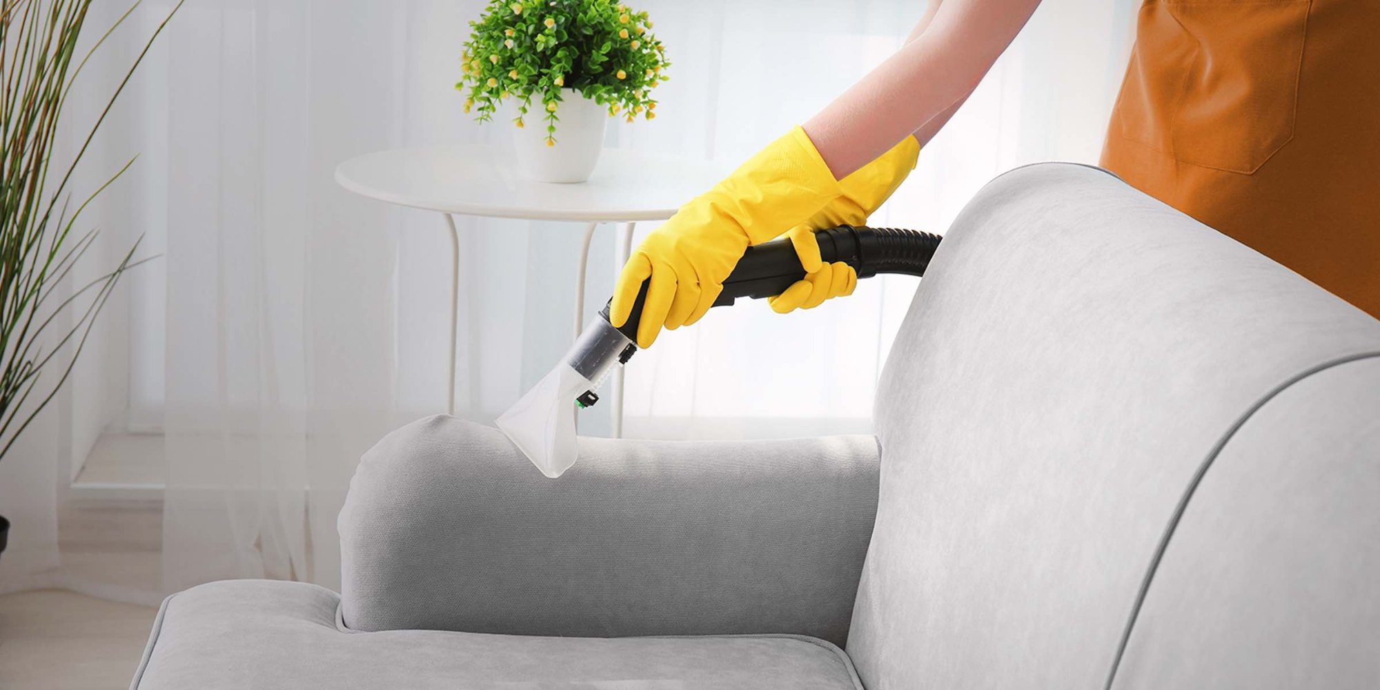 Back 2 Life Couch Cleaning Melbourne Cover Image