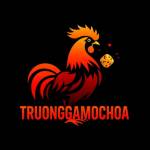 truonggamochoaio Profile Picture