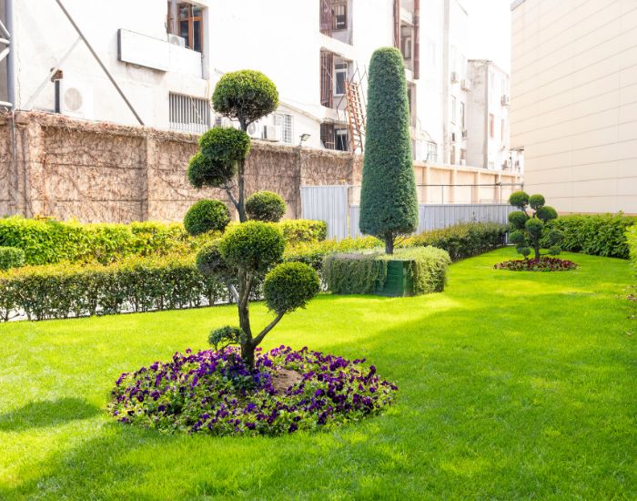 Expert Landscaping Installation in Houston | D-Fence Customs