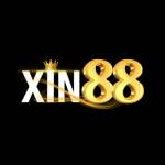 xin88international Profile Picture