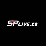 Splive co Profile Picture