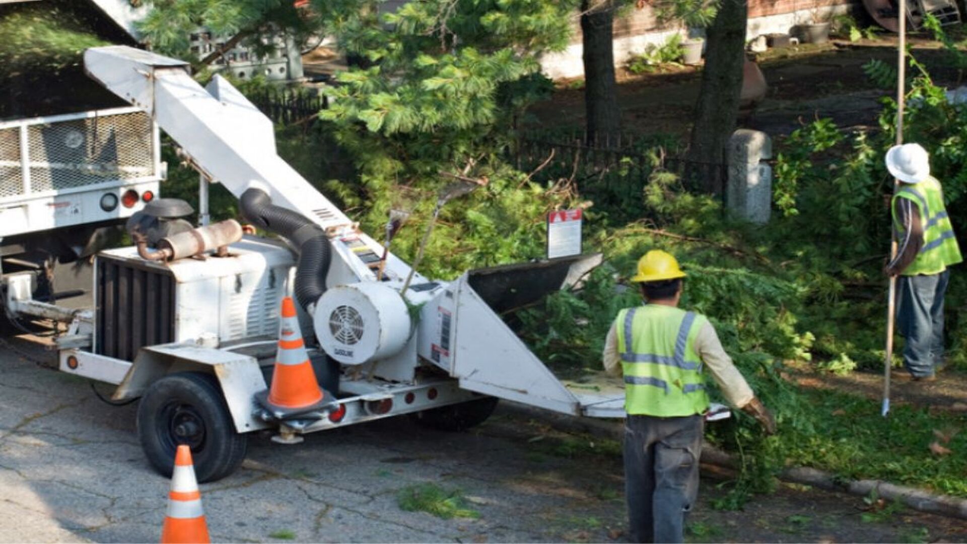 Mikes Maintenance Tree Removal Cover Image