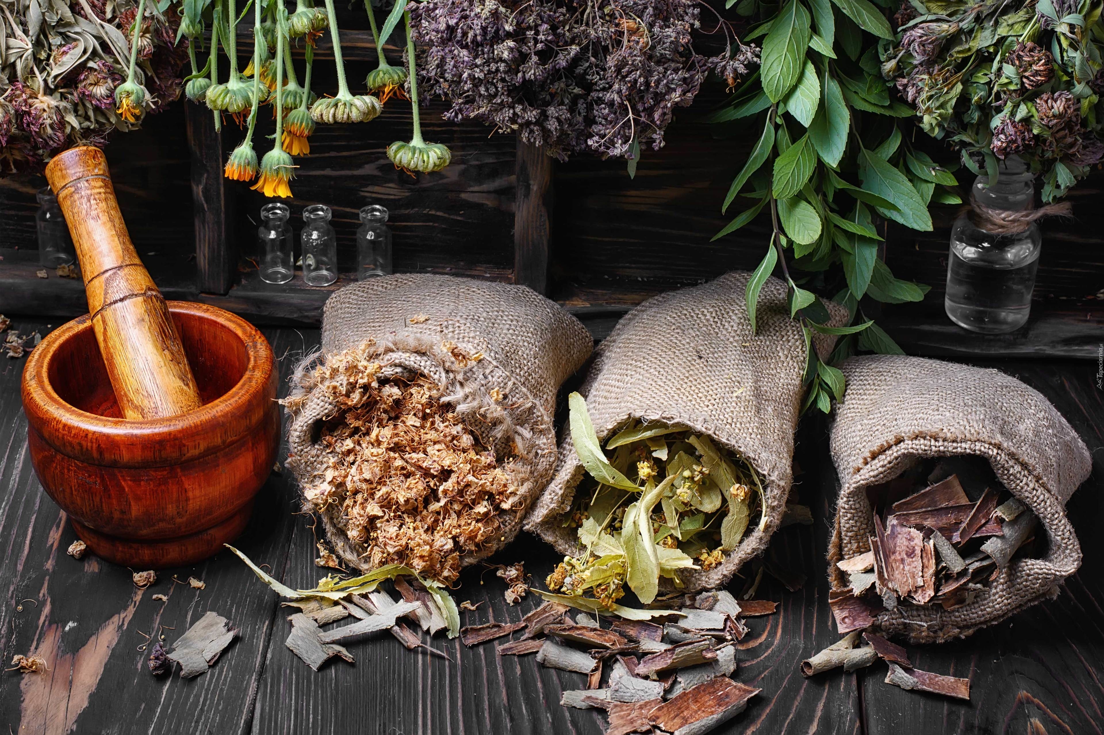 Top Herbal Products for Male Health Care: Natural Solutions for Optimal Wellness – Site Title