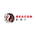 Beacon koi Ltd Profile Picture