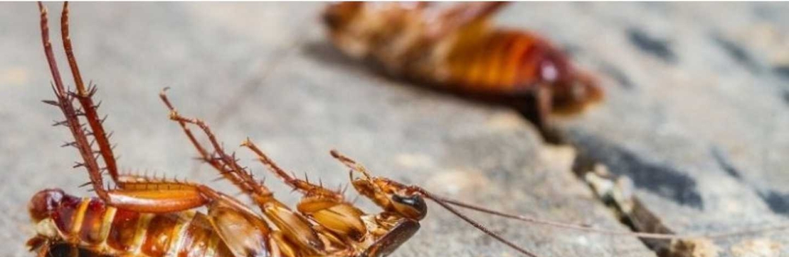 OZ Cockroach Control Melbourne Cover Image