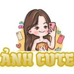 ANH CUTE Profile Picture