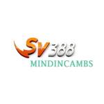 SV388 mindincambs Profile Picture