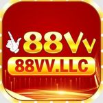 88vv 88vv llc Profile Picture