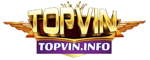 TOPVIN info Cover Image
