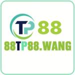 88tp88wang Profile Picture