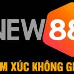 NEW88 Link Đăng Nhập Profile Picture