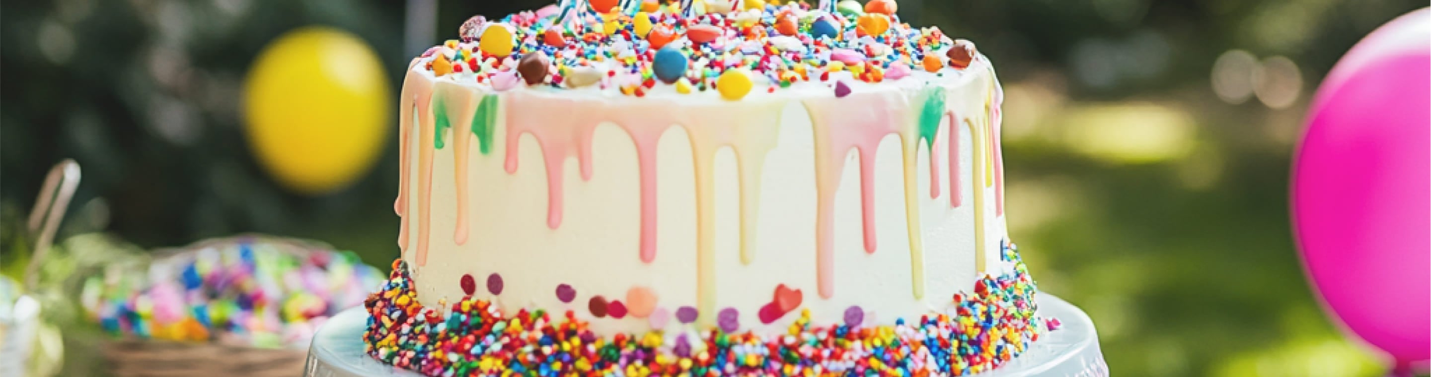 Party Baby Essentials Cover Image