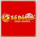 sodohomes1 Profile Picture