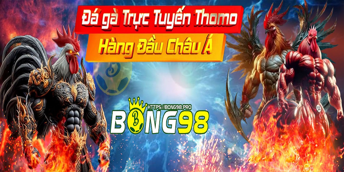 Bongvip Nhà Cái Cá Cược Bóng Đá VIP Uy T Cover Image