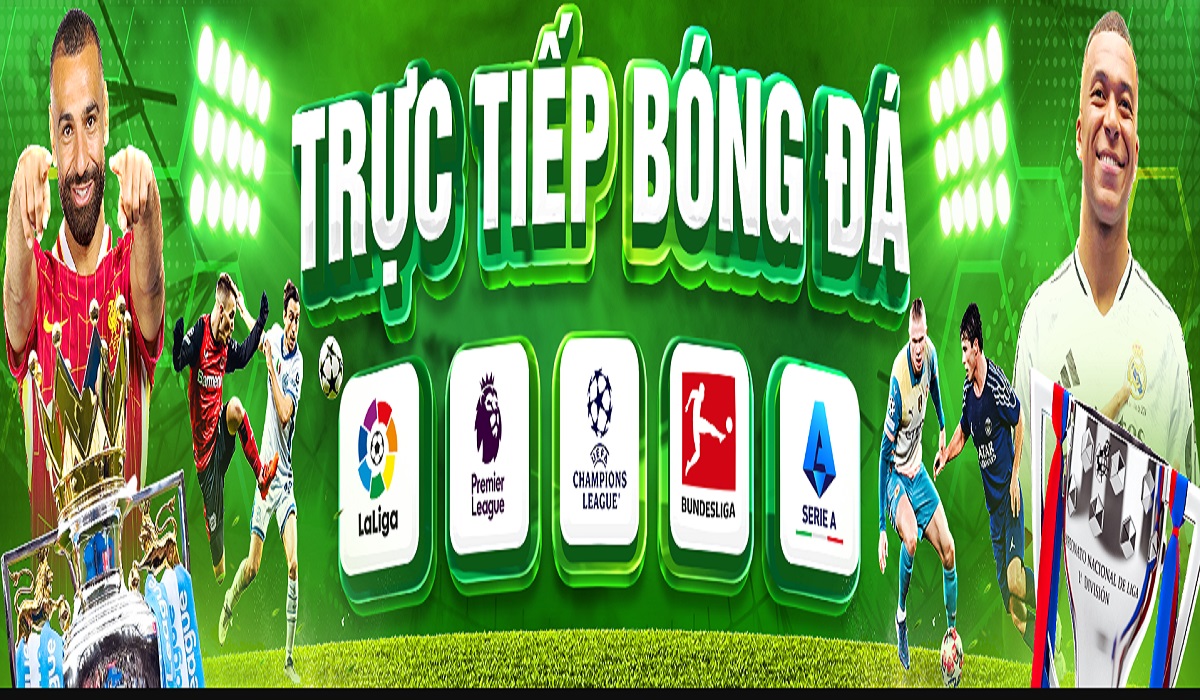 Eufmdinfo Die web Cover Image
