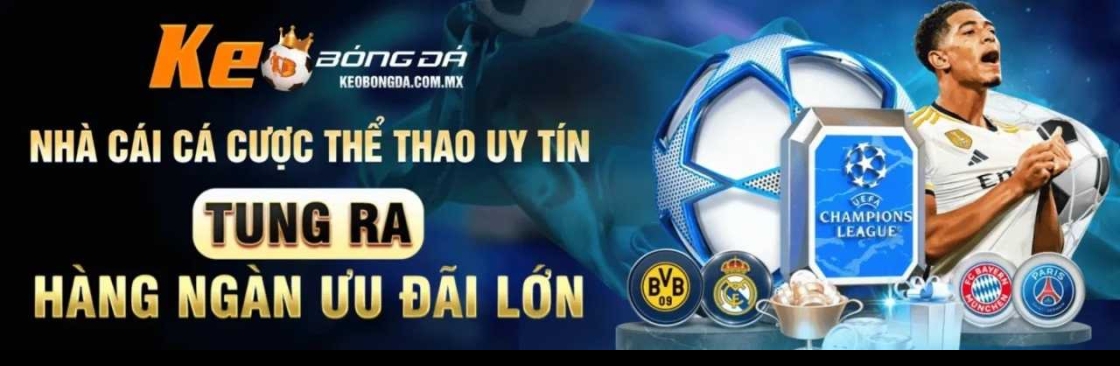 Tran Dong Hai Chuyen Gia Soi Keo Cover Image