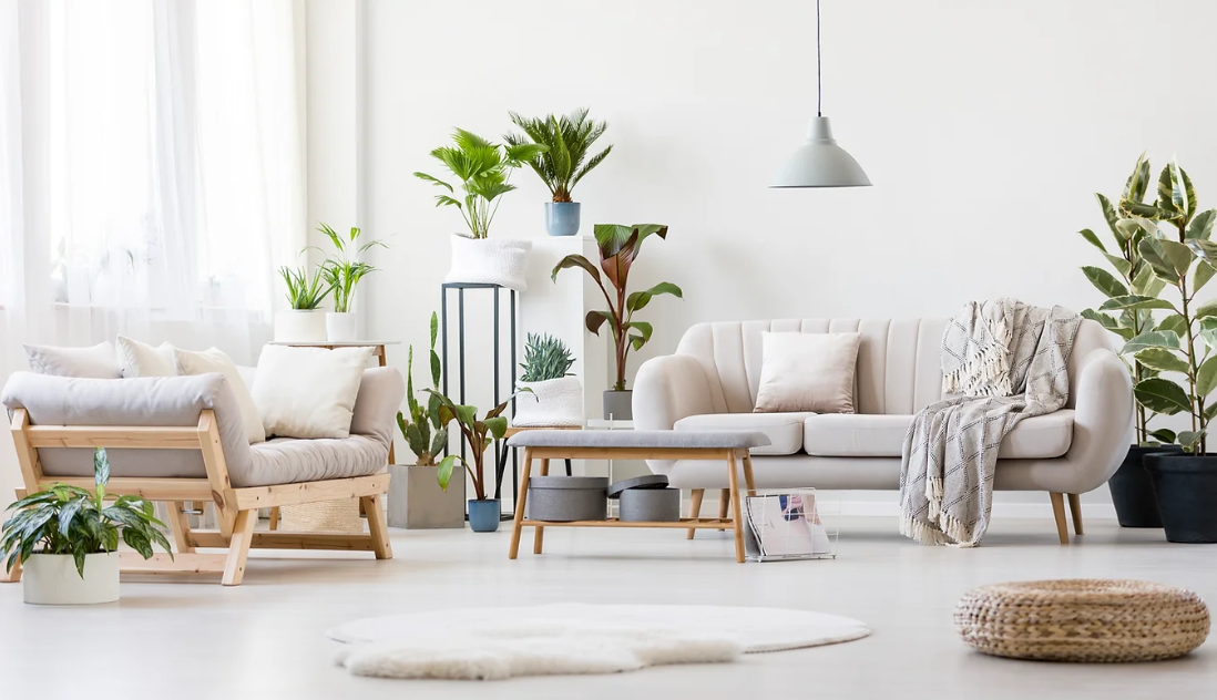 Shosty Short Term Rental Cover Image