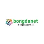 bongdanetvn cc Profile Picture