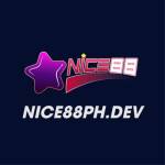 Nice88 dev Profile Picture