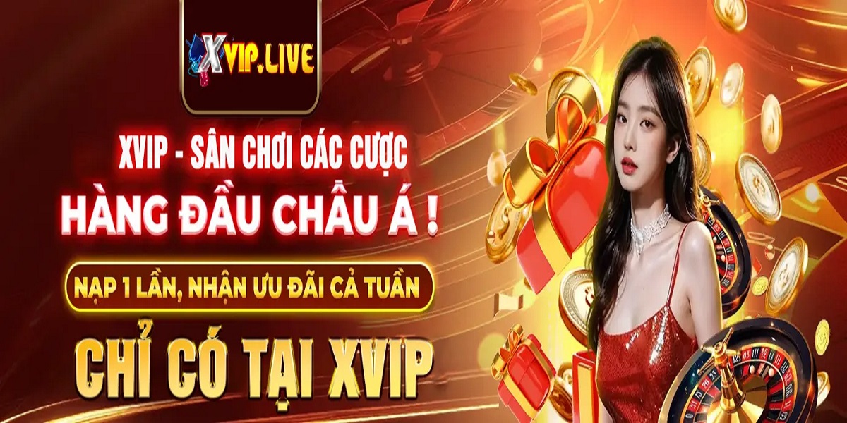 Xvip Cover Image