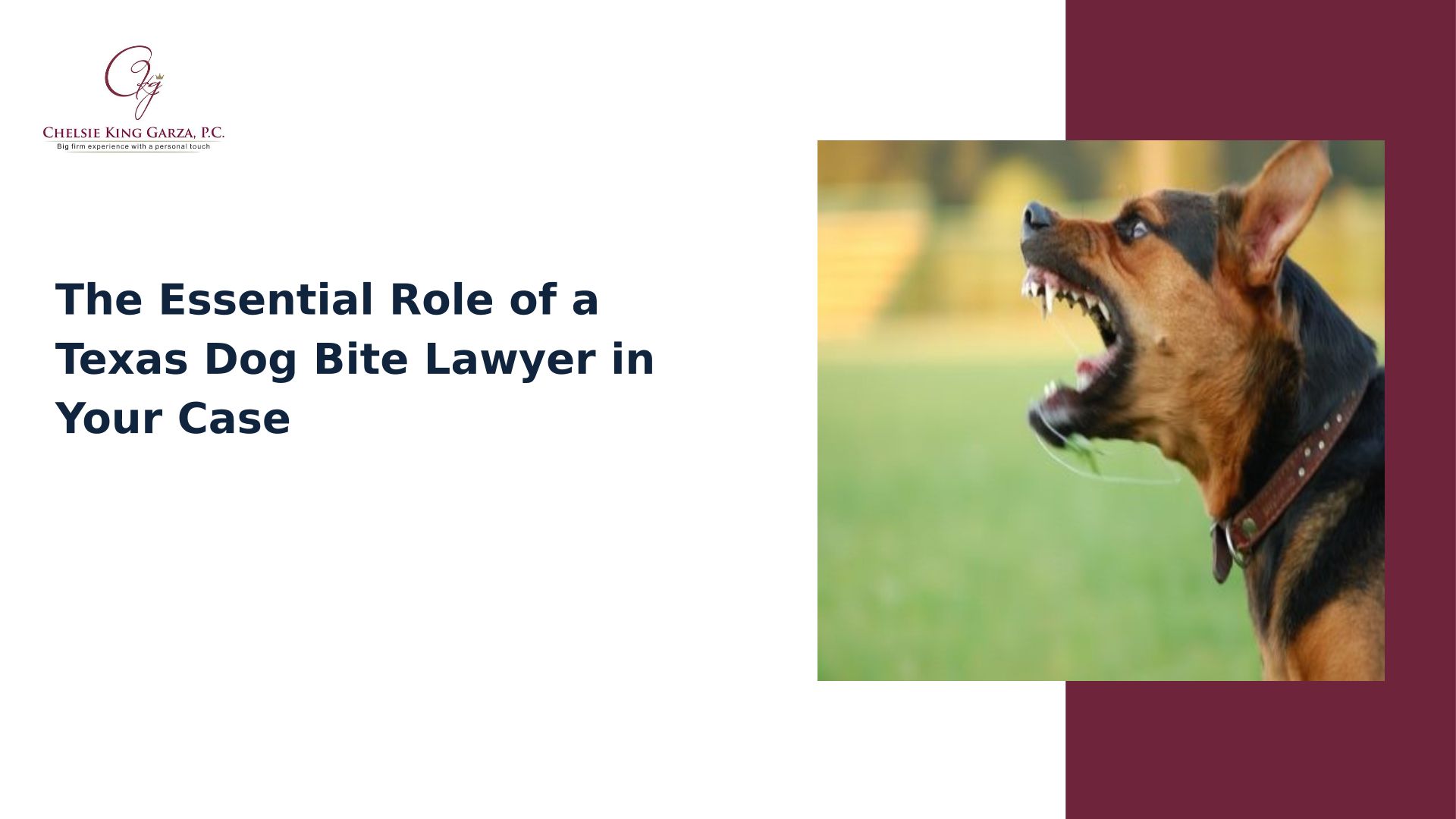 The Essential Role Of A Texas Dog Bite Lawyer In Your Case
