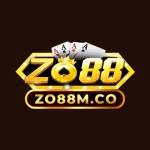 zo88m co Profile Picture