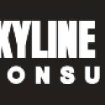 Skyline Global Consulting Profile Picture