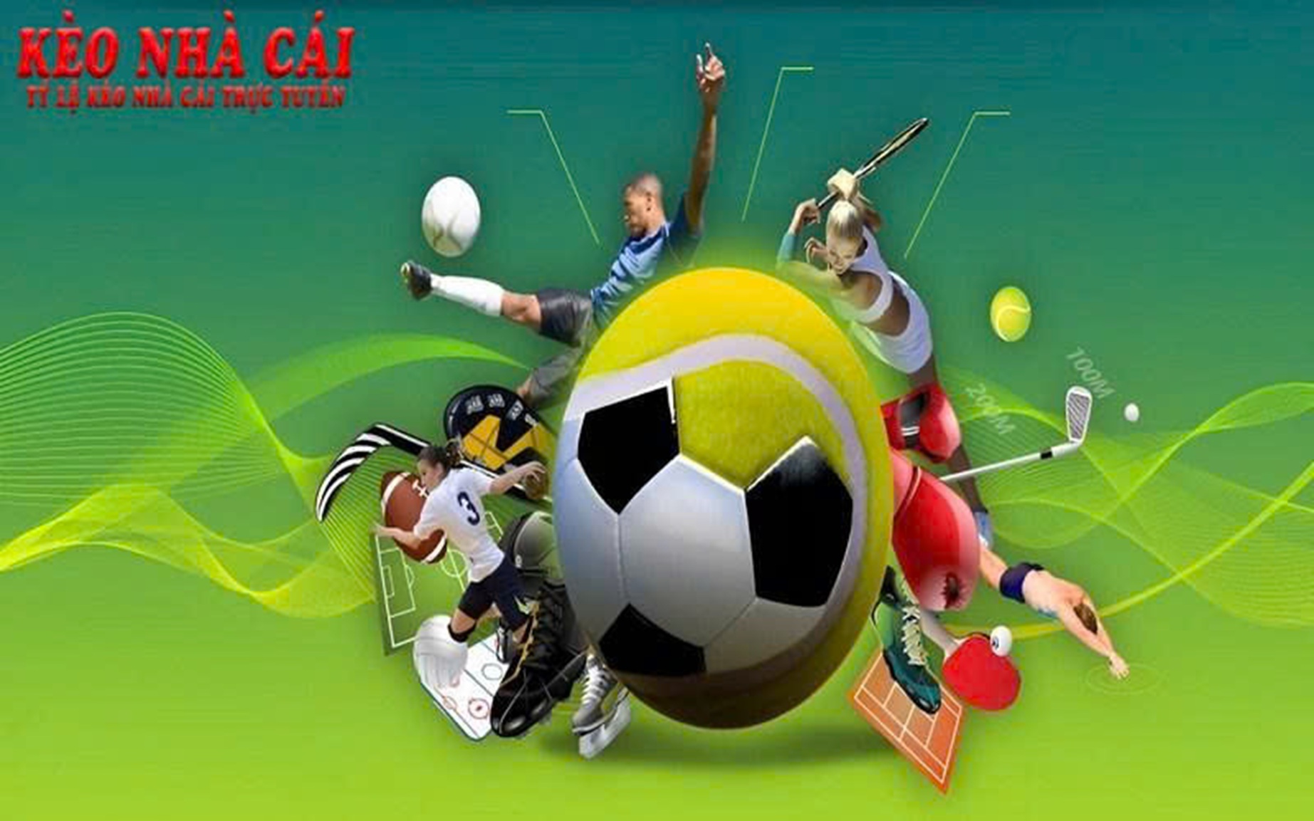 Ceo Mai Hoàng Cover Image