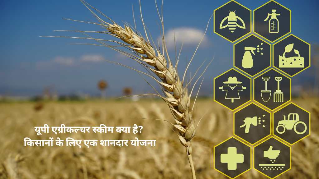 UP Agriculture Skim क्या है- किसानों के लिए एक शानदार योजना