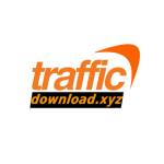 traffic downxyz Profile Picture