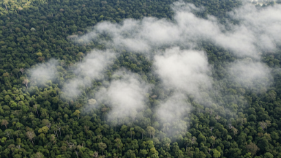 Amazon Rainforest Now Emits More CO₂ Than It Absorbs - Takfe.com