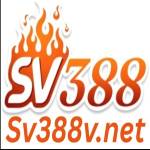 SV388 Profile Picture
