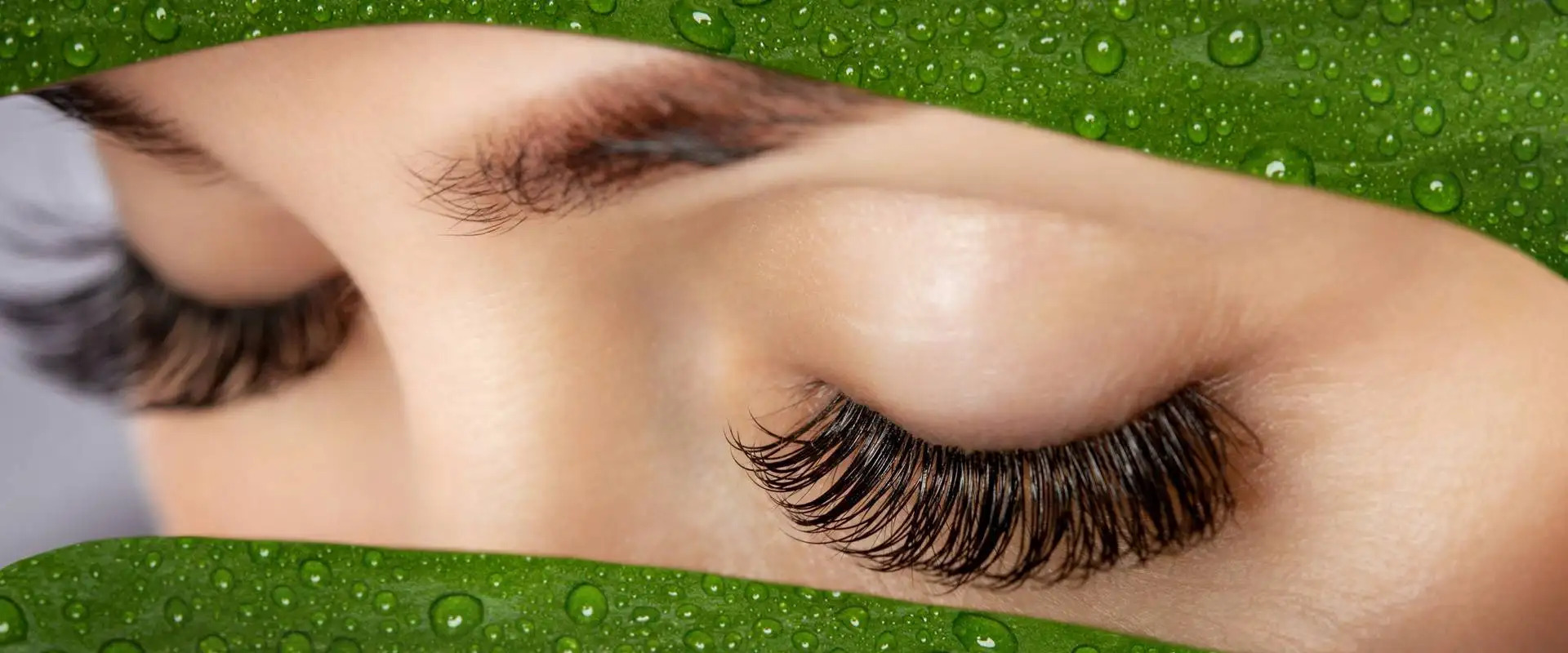 BROWLUSH Cover Image