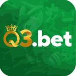 q3betus Profile Picture